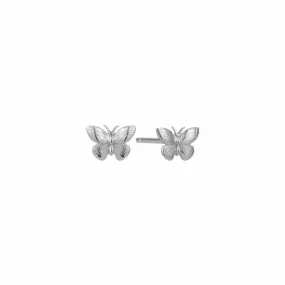 Butterfly Studs