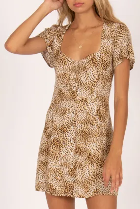 Iman Animal Tan Printed SS Mini Dress