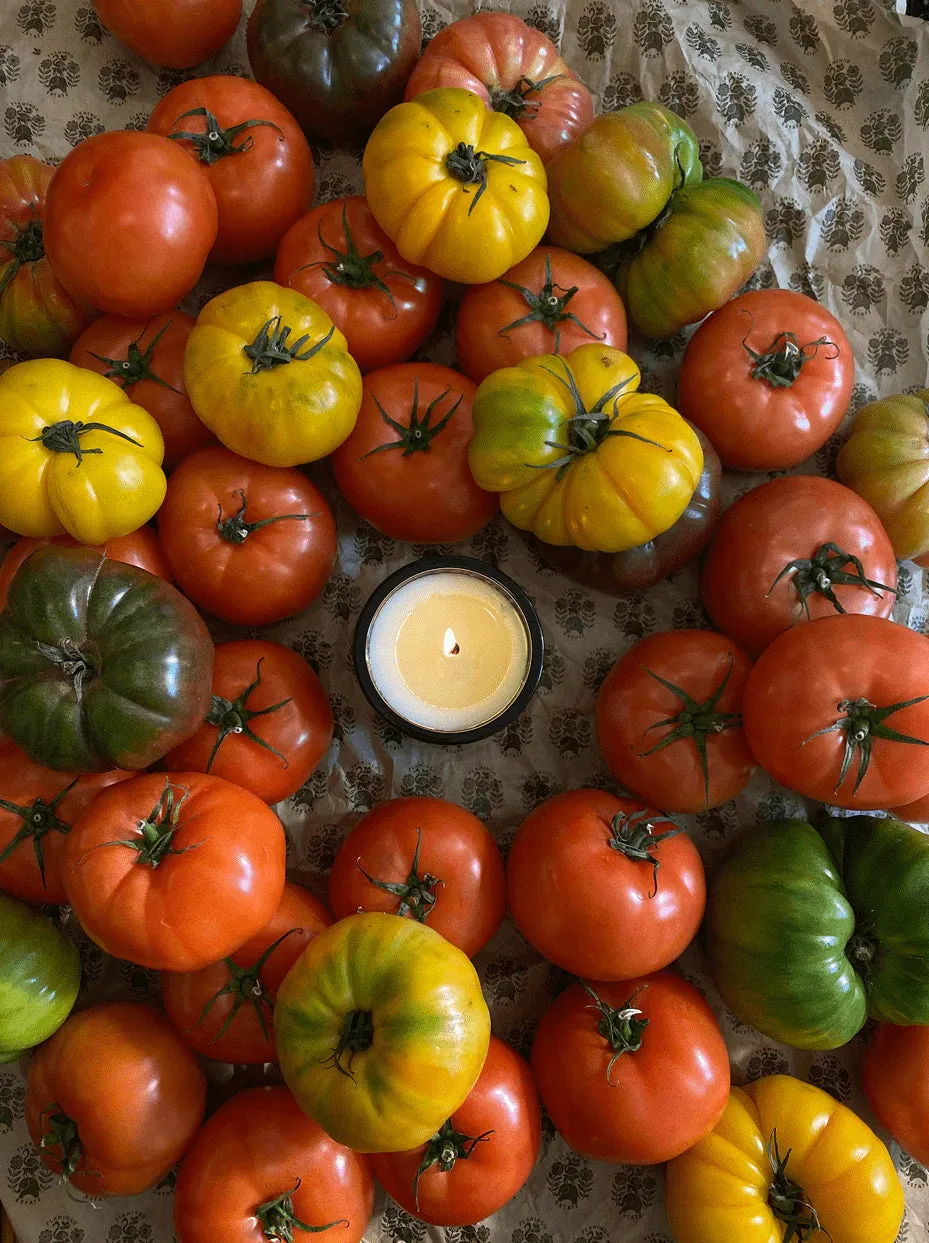 Roma Heirloom Tomato Candle