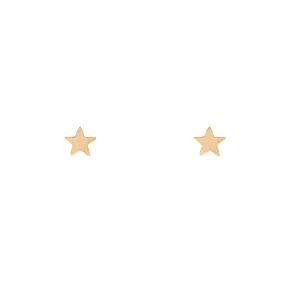 Tiny Charm Post Earrings - Teeny Star