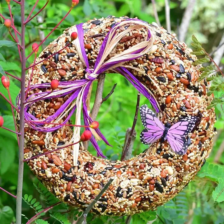 Wild Fare Bird Seed Wreath